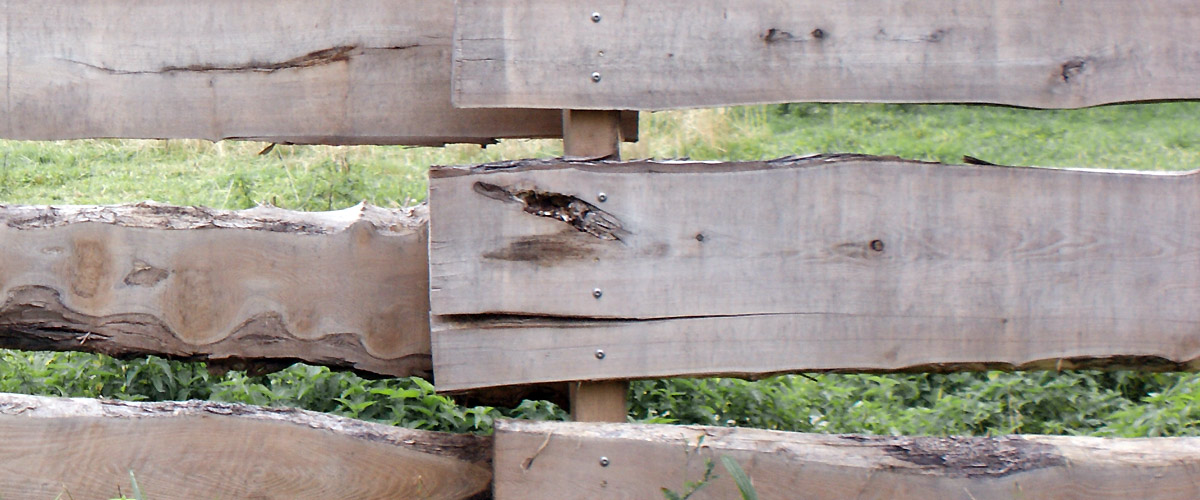 Bannerbild