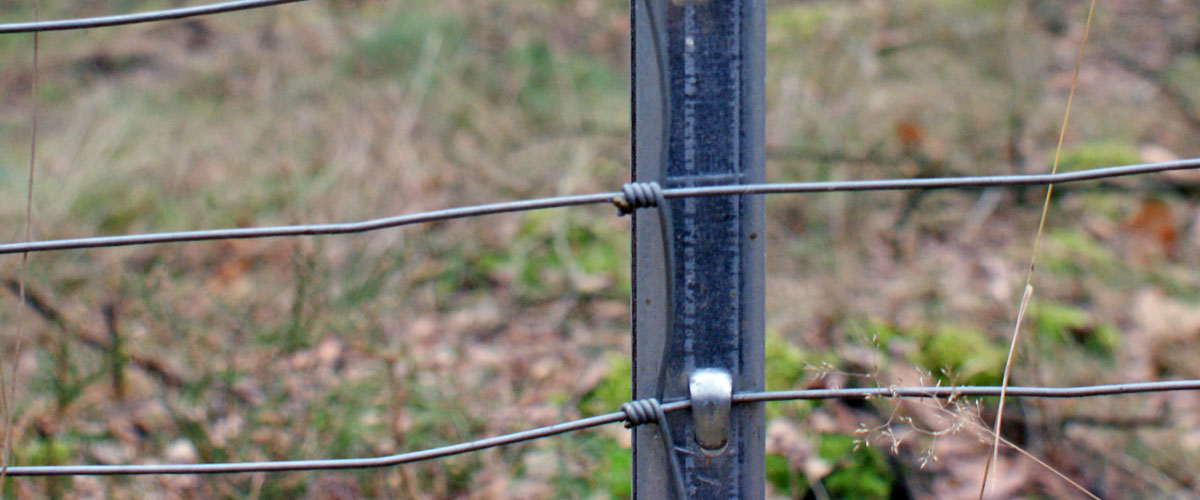 Bannerbild
