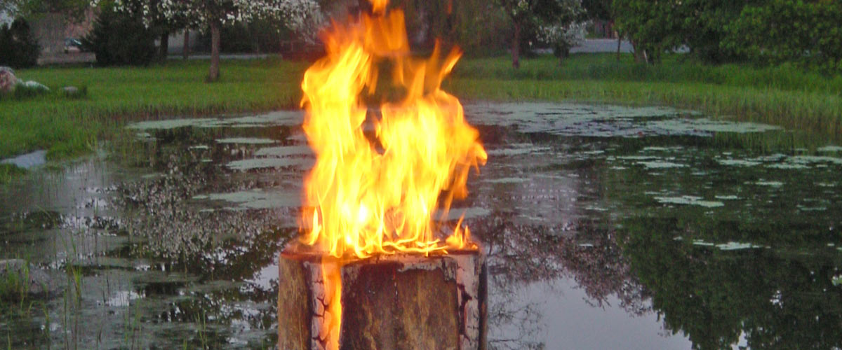 Bannerbild