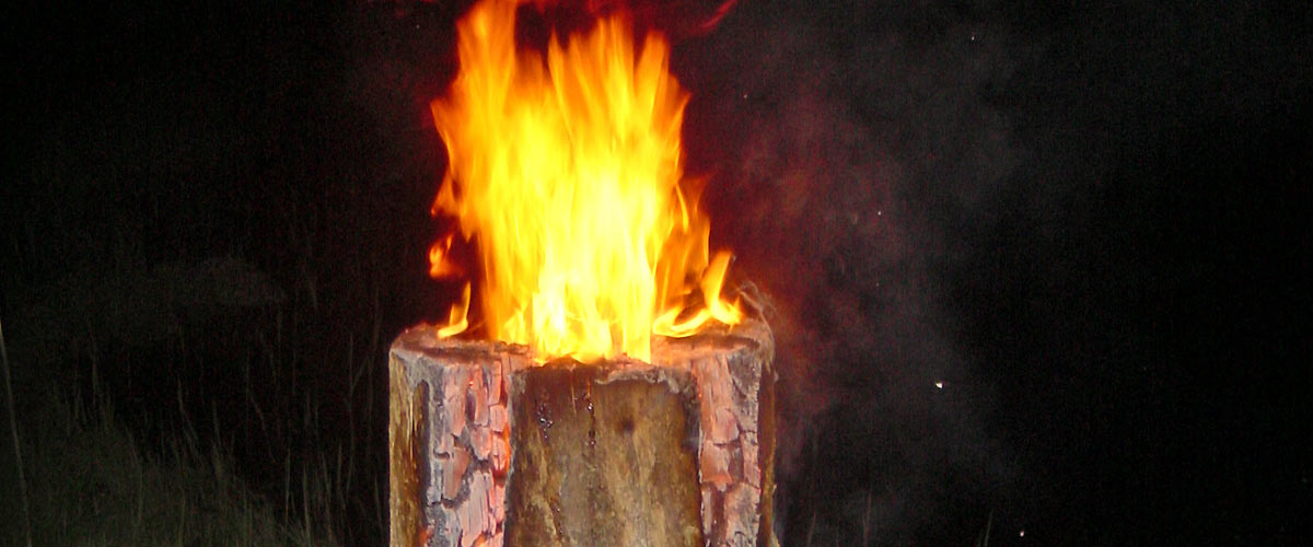Bannerbild